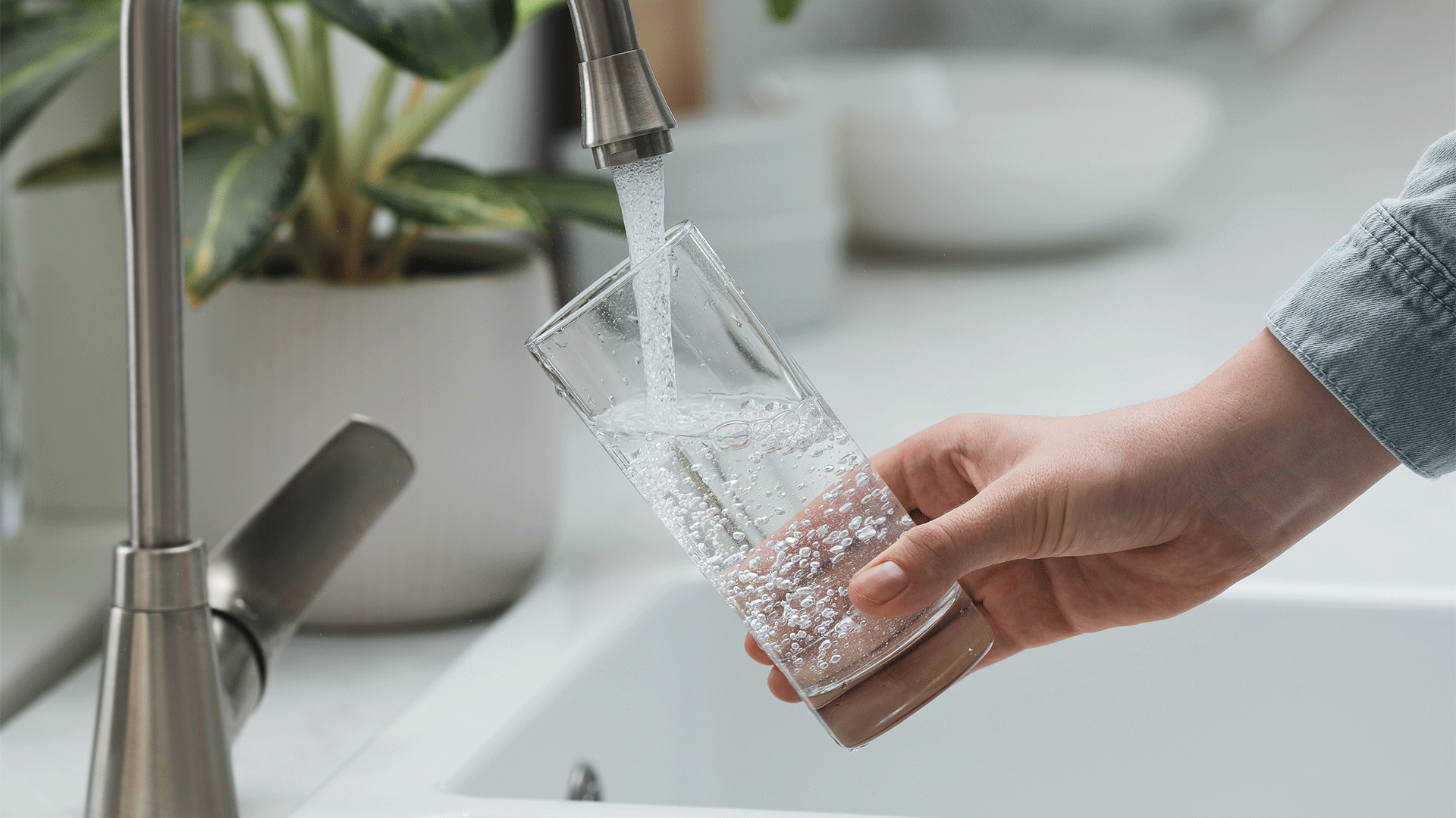 Person filling a glass of water from their faucet after a free water test.