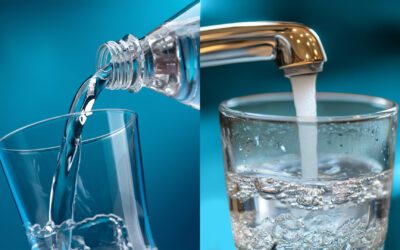 Store-Bought Bottled Water vs. In-Home Filtration: What Makes More Sense?